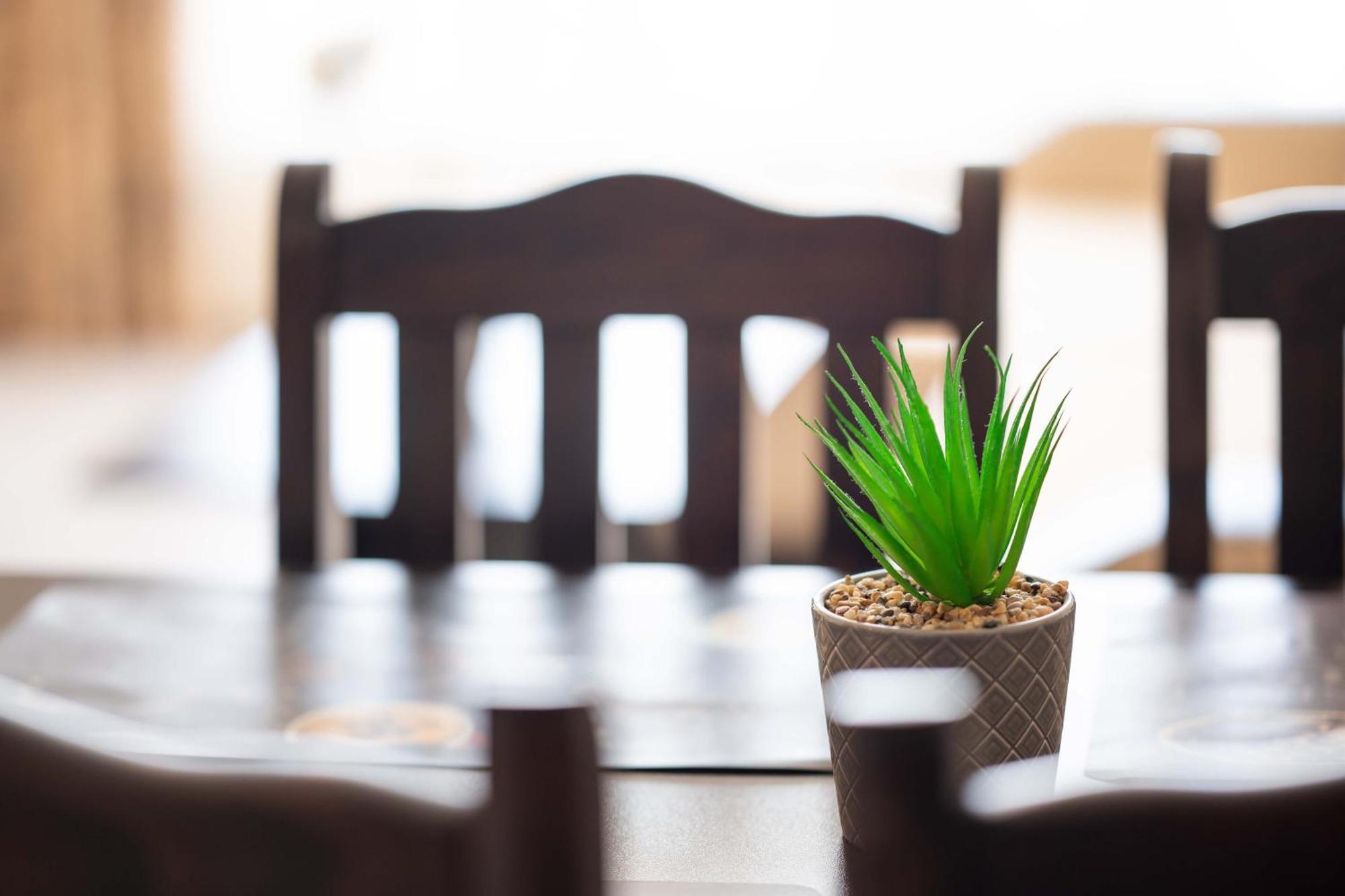 Sveti Vlas Apartments Zewnętrze zdjęcie